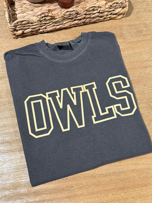 Varsity OWLS