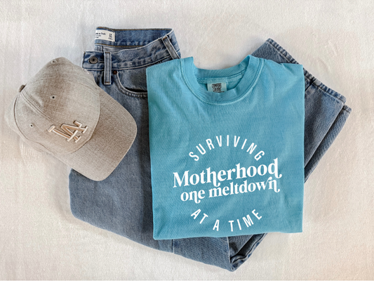 Surviving Motherhood One Meltdown at a Time